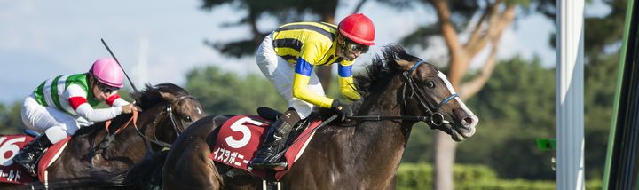 イスラボニータがセントライト記念に優勝!