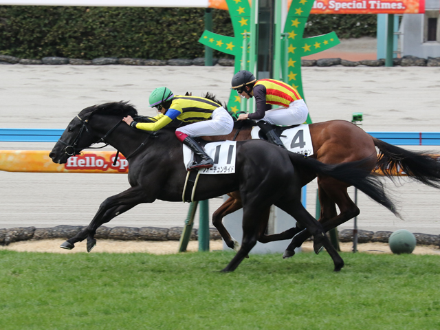 フォーチュンライド