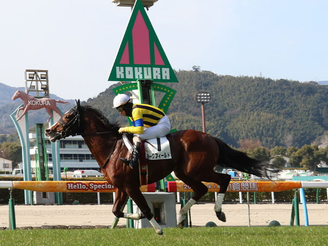 ホークフィールド