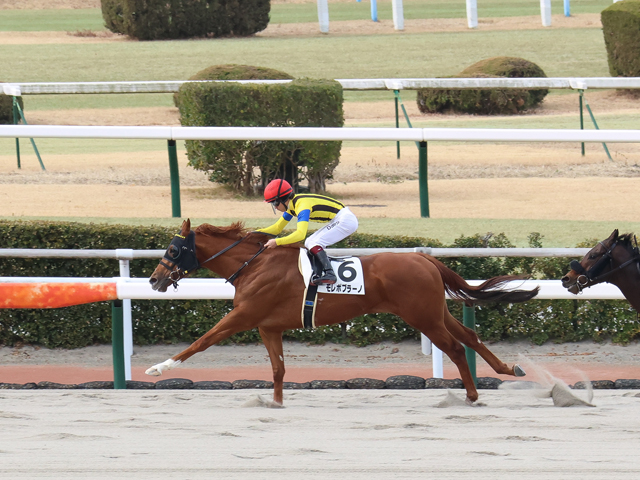 モレポブラーノ