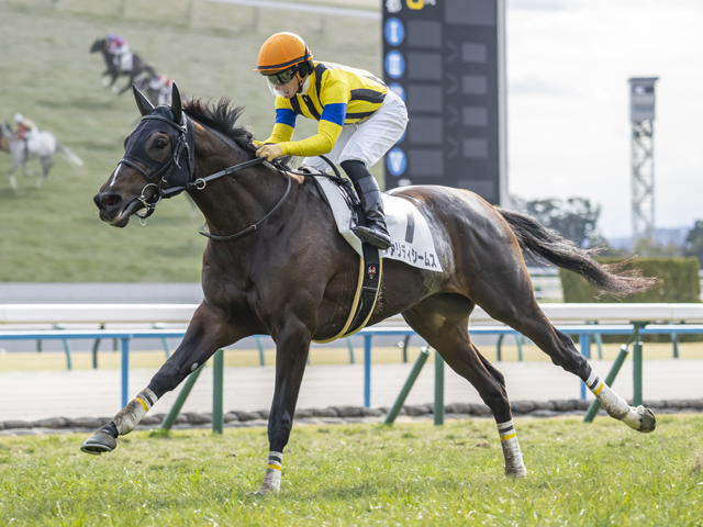 ヴァリディシームス