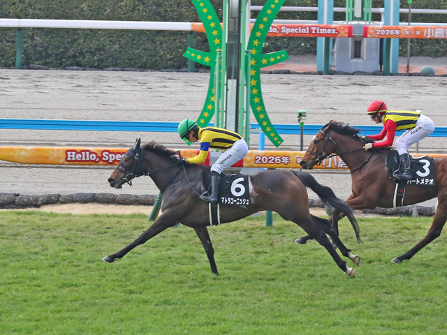 マトラコーニッシュ