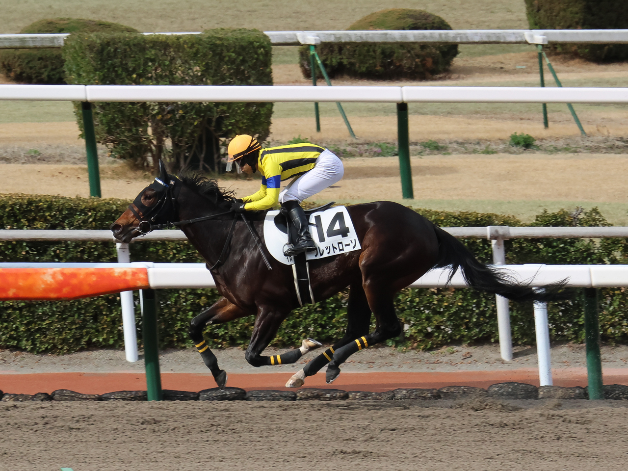 フレットローソ