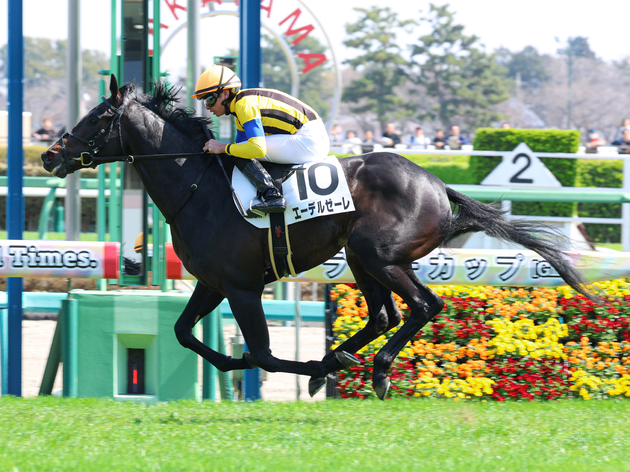 エーデルゼーレ