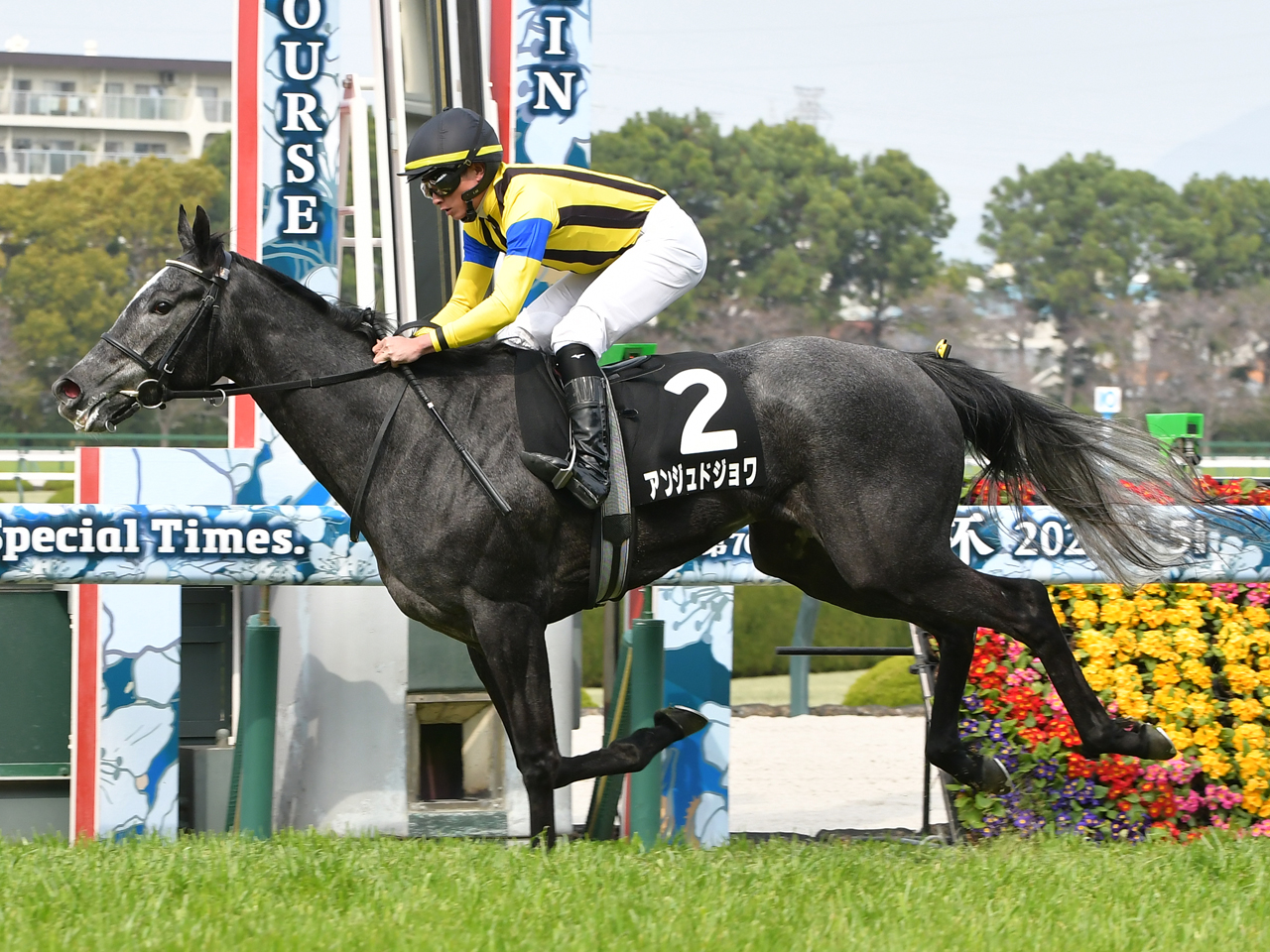 アンジュドジョワ