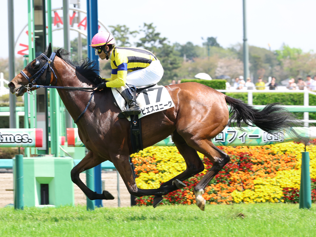 ピエスユニーク