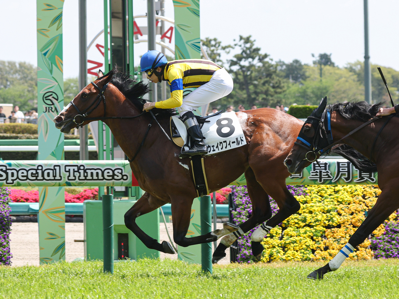 ウェイクフィールド