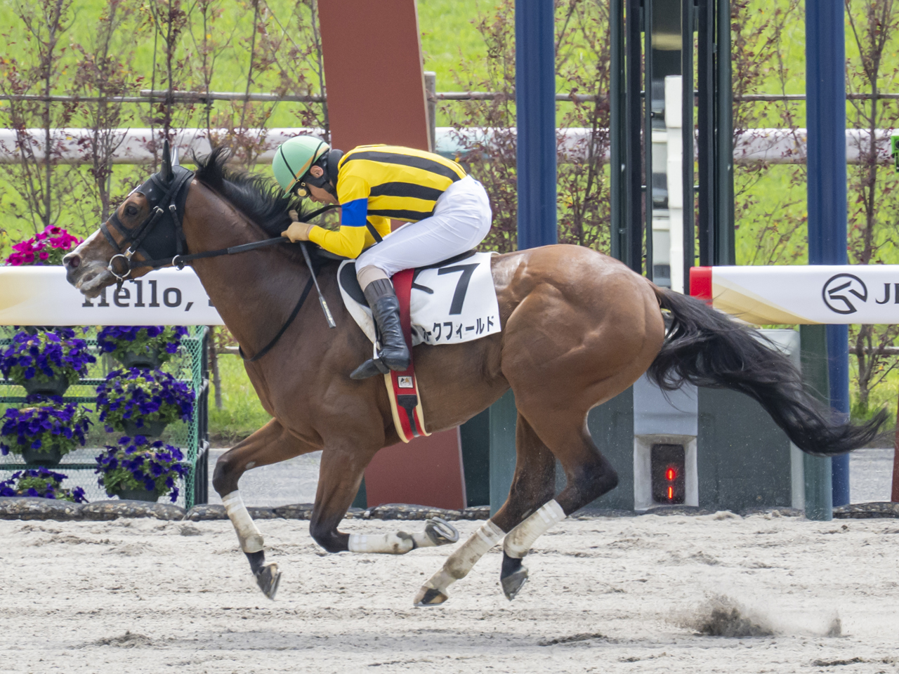 ホークフィールド