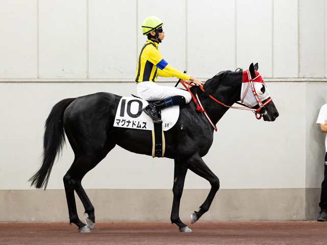 Shadai Thoroughbred Club 社台サラブレッドクラブ