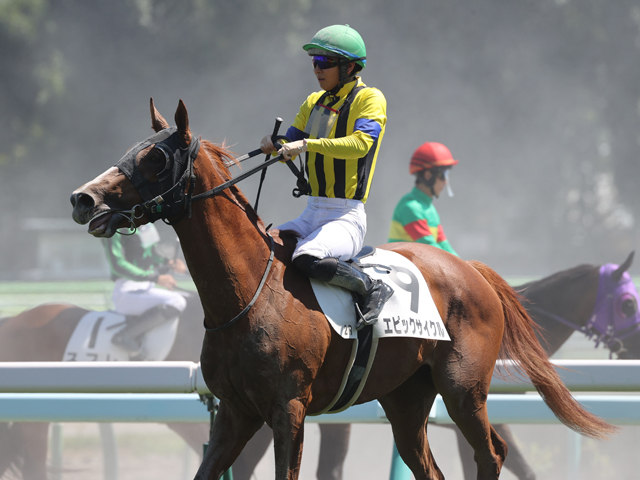 Shadai Thoroughbred Club 社台サラブレッドクラブ