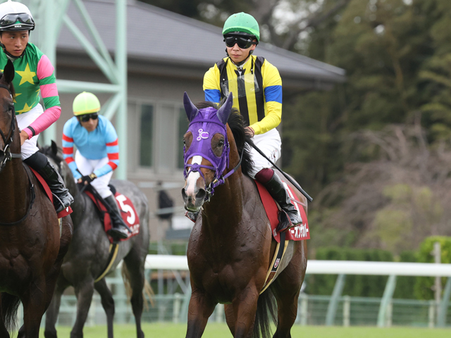 司馬翁　 1974年モデルZ1 おめでとう50歳 アメリカより逆輸入され日本にて