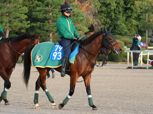 2178❣️ 瑪瑙　馬　唐馬　戦闘馬 Shadai Thoroughbred Club 社台サラブレッドクラブ