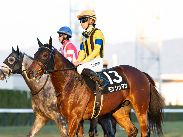 Shadai Thoroughbred Club 社台サラブレッドクラブ