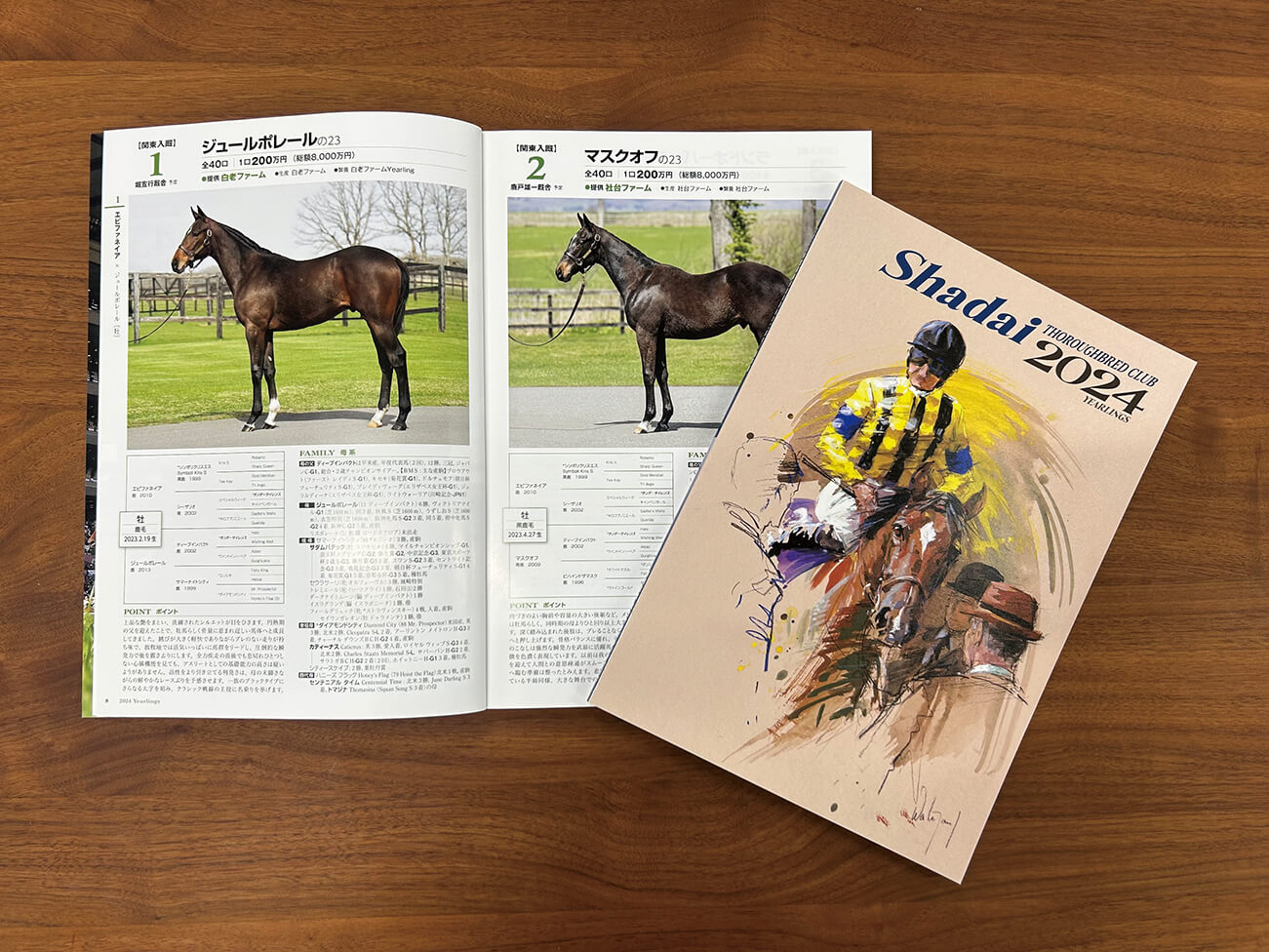 募集馬カタログ