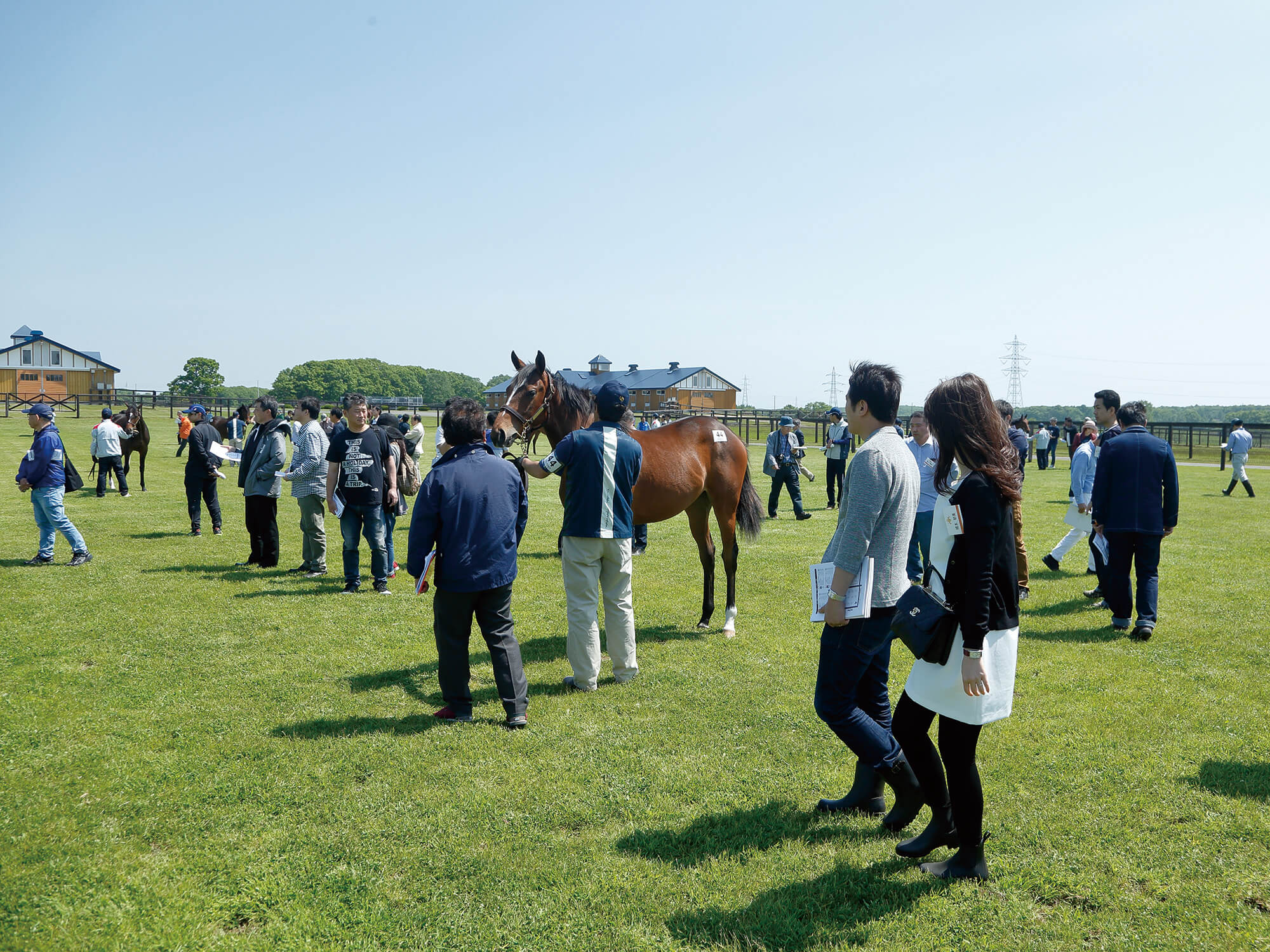 牧場見学ツアー