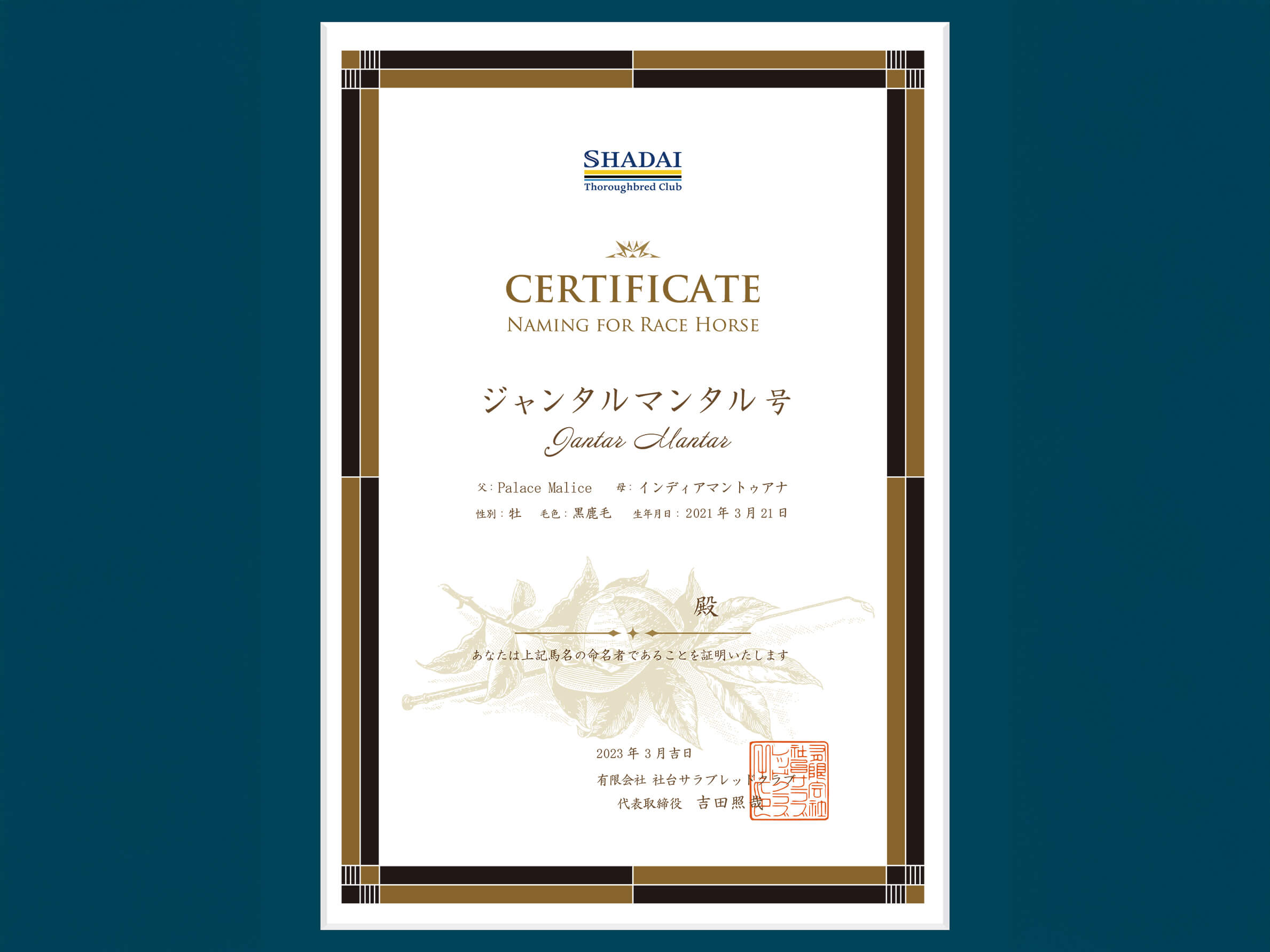 愛馬のネーミング