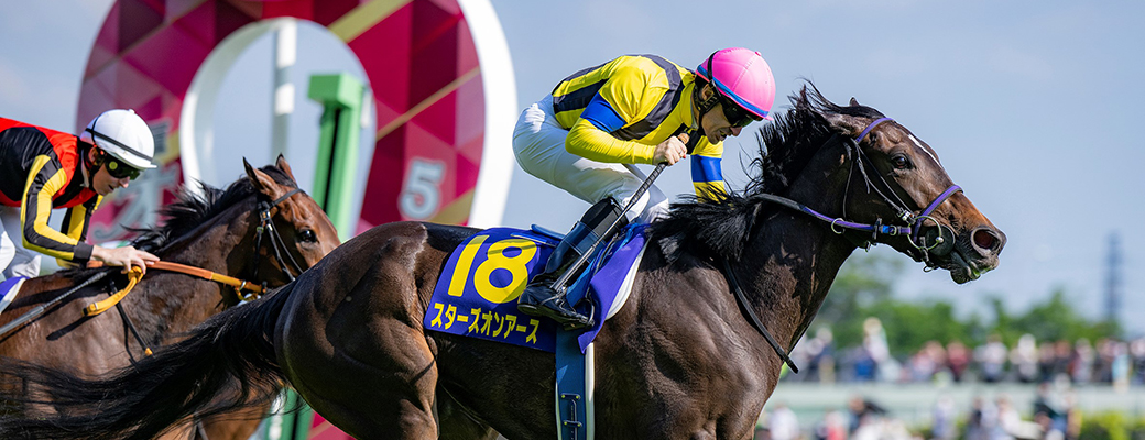 Shadai Thoroughbred Club 社台サラブレッドクラブ