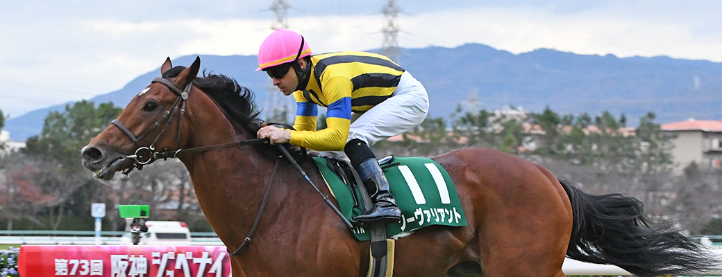Shadai Thoroughbred Club 社台サラブレッドクラブ