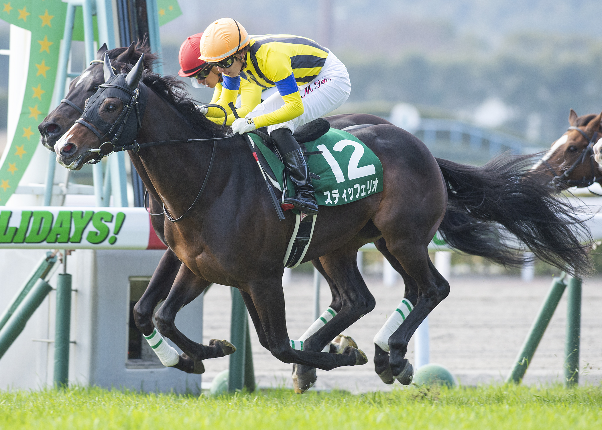 Shadai Thoroughbred Club 社台サラブレッドクラブ