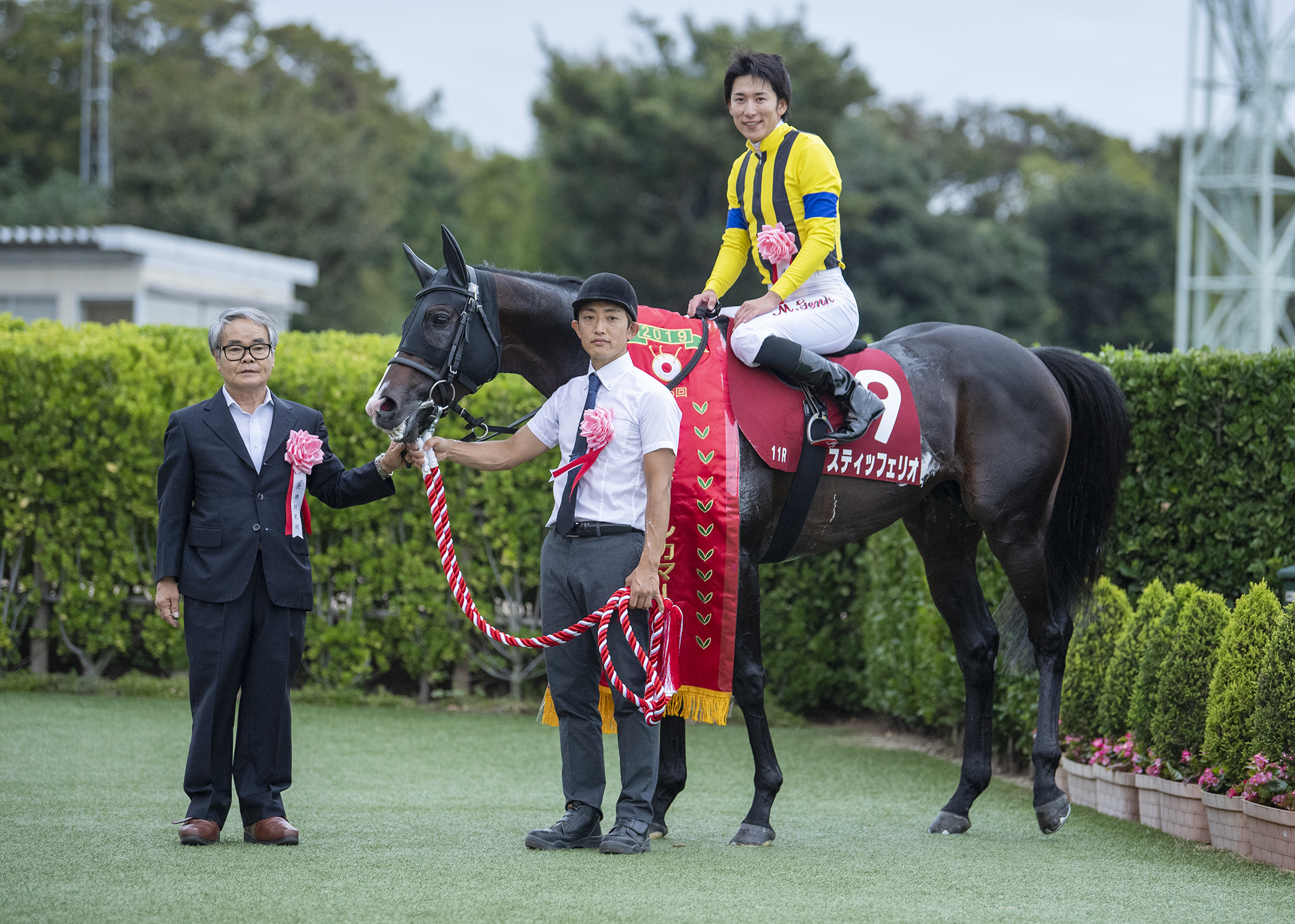 Shadai Thoroughbred Club 社台サラブレッドクラブ