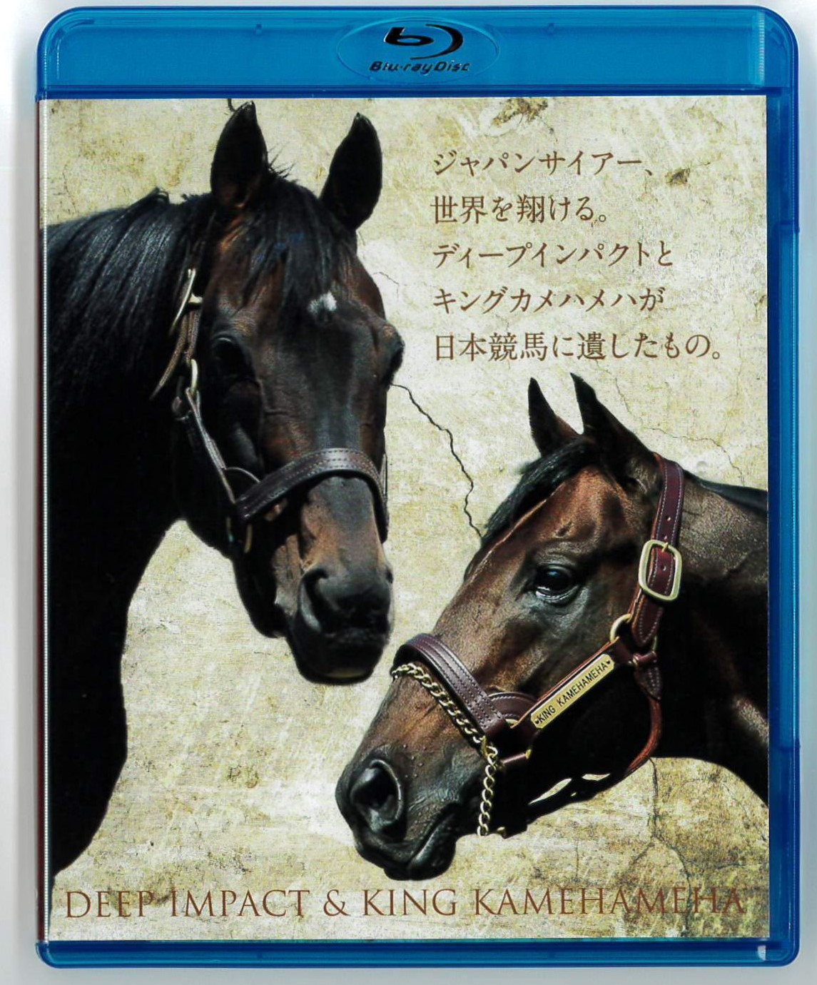 Shadai Thoroughbred Club 社台サラブレッドクラブ