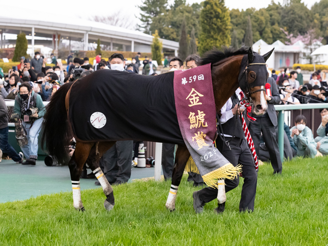 Shadai Thoroughbred Club 社台サラブレッドクラブ