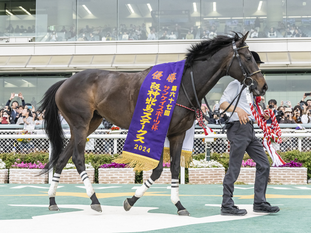 Shadai Thoroughbred Club 社台サラブレッドクラブ Shadai Thoroughbred Club 社台サラブレッドクラブ