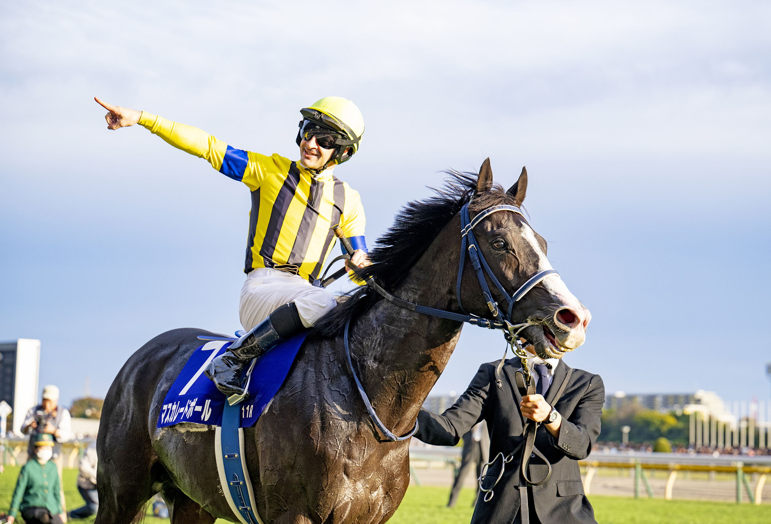 Shadai Thoroughbred Club 社台サラブレッドクラブ