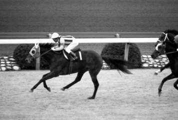[1984年]スクラムダイナ、朝日杯3歳ステークス優勝。最優秀3歳牡馬に輝く。