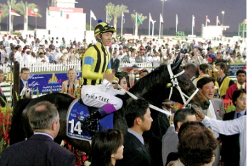 [2001]ステイコールド、香港国際ヴァーズ、日経新新春杯、ドバイシーマクラシック優勝。