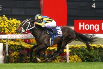 [2001]ステイコールド、香港国際ヴァーズ、日経新新春杯、ドバイシーマクラシック優勝。