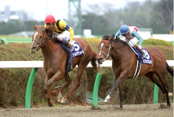 [2003]ゴールドアリュール、フェブアリーS優勝。