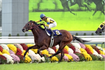 [2003]ザッツザブレンティ、菊花賞優勝。