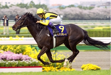 [2004]ダンスインザムード、桜花賞優勝。最優秀3歳馬に輝く