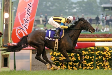 [2006]ダンスインザムード、ヴィクトリアマイル優勝。最優秀4歳以上牝馬に輝く。