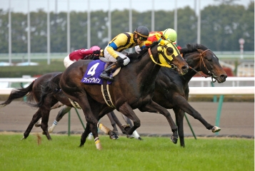 [2008]ファイングレイン、高松宮記念優勝。