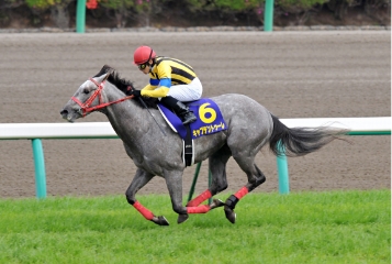 [2008]キャプテントゥーレ、皐月賞優勝。