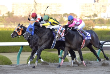 [2013]ベルシャザール、ジャパンカップダート優勝、JRA最優勝ダート馬に輝く。