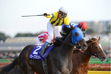 [2013]グレープブランデー、フィブラリースニークフ優勝。