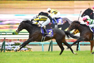 [2014]イスラボニータ、皐月賞優勝、JRA賞最優秀賞３歳牝馬に輝く。