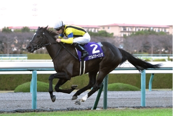 [2016]ソウルスターリング、阪神JF優勝。最優秀２歳牝馬に輝く。