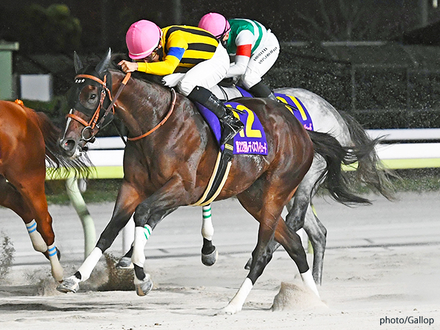 未開封2023年 社台サラブレッドクラブ サンデーサラブレッドクラブ カタログ 未開封2023年 社台サラブレッドクラブ サンデーサラブレッド