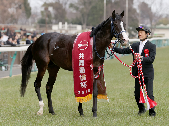 マスカレードボールが共同通信杯(G3)で重賞初制覇!いざクラシックヘ!