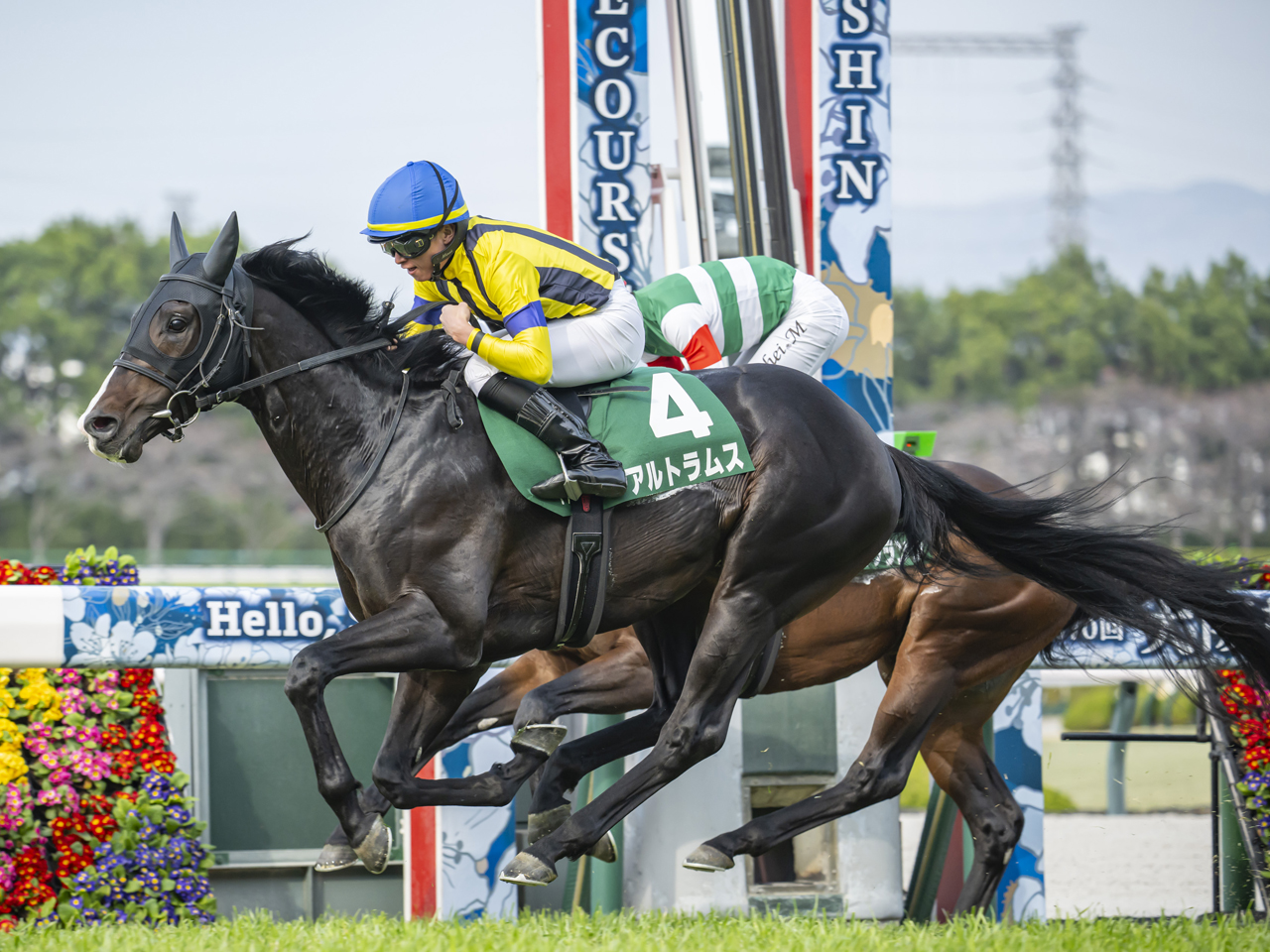 重賞勝利レース - 社台サラブレッドクラブ